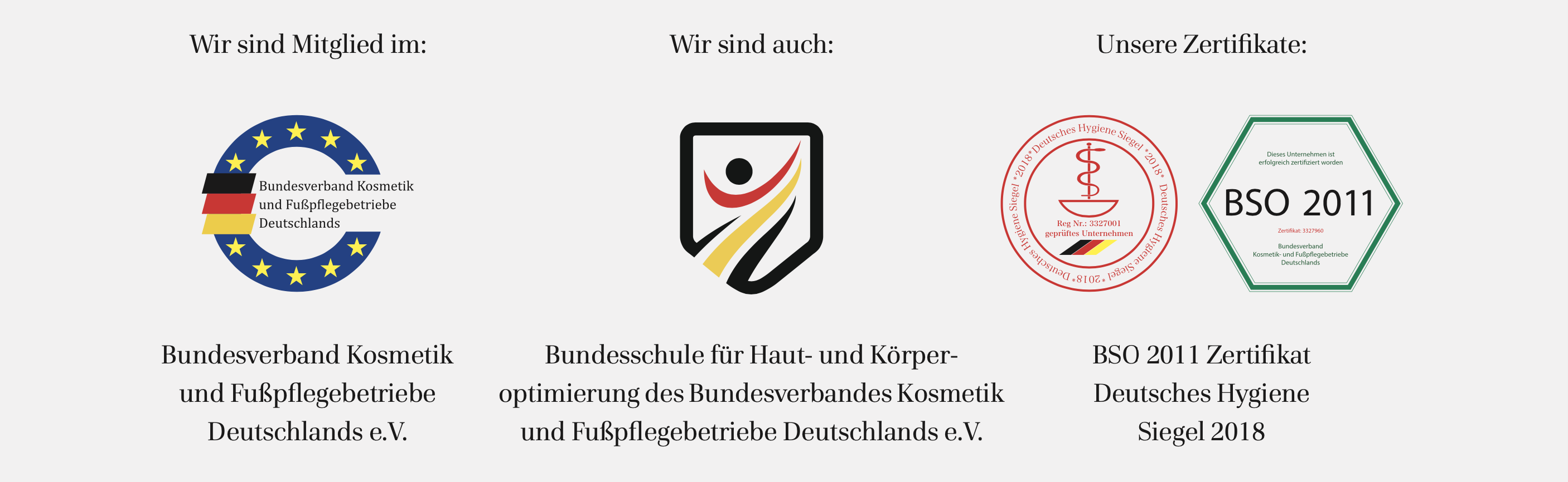 WELLNESSfee Bundesverband Kosmetik Fachausstatter Bundesschule BSO 2011 Hygienesiegel
